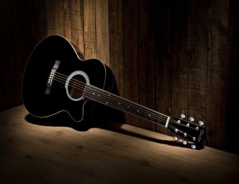 Plectrum Guitar